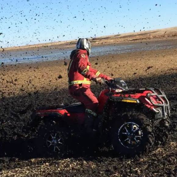 Meet your Posher, William - Picture 1 of 1